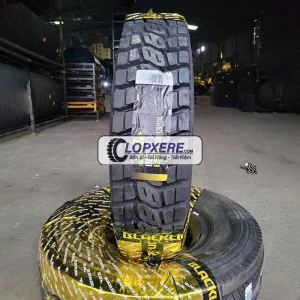 Lốp Blacklion 8.25R16 BLG19 gai ngang